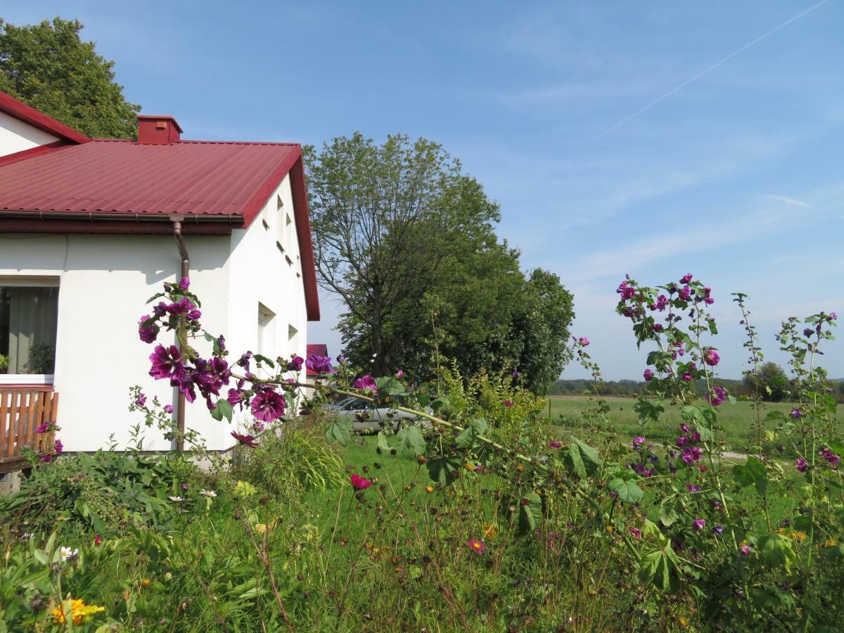 Agrocamp Villa Pawlowka  Exterior photo